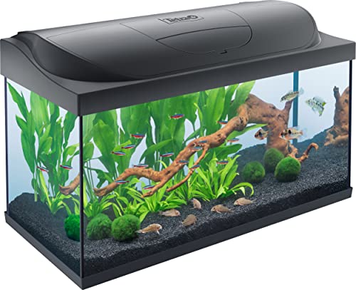 Dimensioni dell'acquario coperchio incluso (L x A x P): 76 x 48 x 37 cm