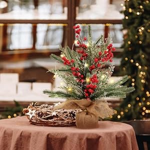 RECUTMS Tabletop Mini Christmas Tree Small Christmas Tree with Lights for Table Faux Miniature Xmas Trees with Red Berries Burlap Base Pine Branches Artificial Trees Indoor Home Decor Gifts RECUTMS Tabletop Mini Christmas Tree Small Christmas Tree with Lights for Table Faux Miniature Xmas Trees with Red Berries Burlap Base Pine Branches Artificial Trees Indoor Home Decor Gifts