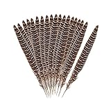 Estas plumas artificial están hechas a mano y varían en tamaño, longitud y forma, y las plumas artificial pueden aparecer ligeramente descoloridas.