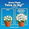 Miracle-Gro Moisture Control Potting Mix - Plant Soil For Container Plants, Protects against Over- and Under-Watering, 8 qt. (2-Pack)