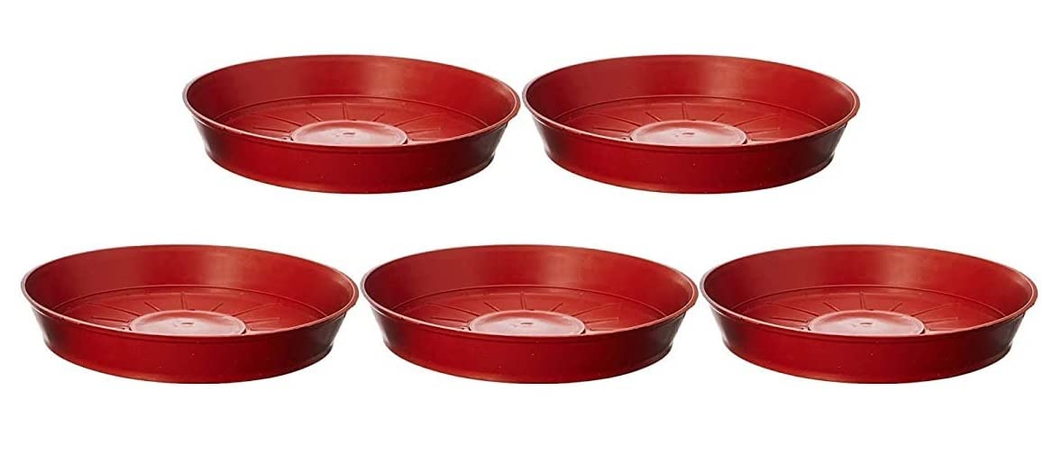 Varshney Gardening Plate for Plant Plastic Round Pots Size- 10 inch (Tray/Saucer) Terracotta Color Planters Base Gamla Plate, Pack of 5 (B0C6DLDDTD) Amazon Price History, Amazon Price Tracker