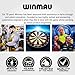 Winmau Dart Board - Blade 360 Dartboard - Triple Core Carbon - Full Rotation - Symmetrical Graphics - Professional PDC Dartboard with Official Tournament Specifications for Darts Enthusiasts