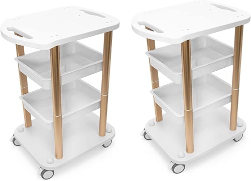 Elitzia Carro facial de 2 piezas por juego, 4 estantes de aluminio ABS, marco dorado, para salón de belleza, spa, organizador de spa, carrito con