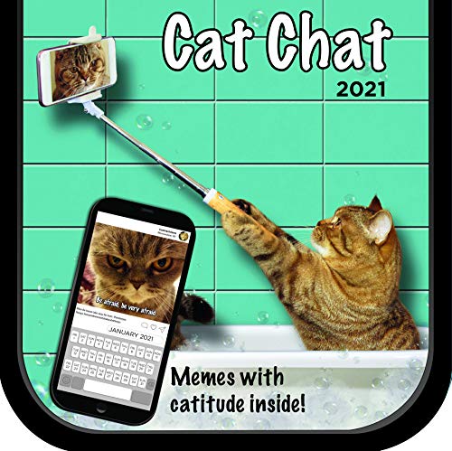 Preisvergleich Produktbild Cat Chat 2021 Calendar