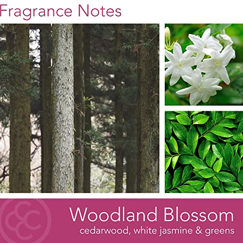 Colonial Candle Woodland Blossom Scented Jar Candle, Pop Of Color Collection, 3 Wick, Purple, 14.5 Oz - Up To 60 Hours Burn #TOP1