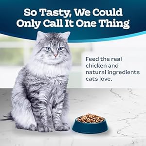 Blue Buffalo Tastefuls Grownup Dry Cat Meals for Weight Administration & Hairball Management, Made within the USA with Pure Elements, Hen Recipe, 7-lb. Bag
