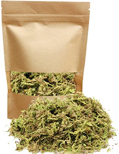 Dried Forest Moss, Green Spanish Moss, Natural Sphagnum Moss for Potted Plants, Terrarium Decor, Orchid Succulents Garden Flowers Pot and Reptiles, 2Qt