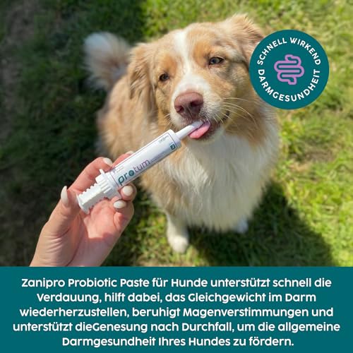 Zanipro Probiotische und Präbiotische Paste für Hunde und Katzen Gegen Durchfall Wurmkur, Natürliches Durchfallmittel für Hunde, 3 Milliarden KBE Probiotika Darmflora, Darmsanierung (30ml) Kürbis