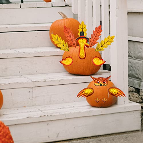 Bayn 5 Pcs Thanksgiving Owl Pumpkin Making Kit, Metal Kit For Pumpkin Diy Decorations Autumn Fall Harvest Decoration For Thanksgiving Home Outdoor & Indoor Decor Gift #TOP6