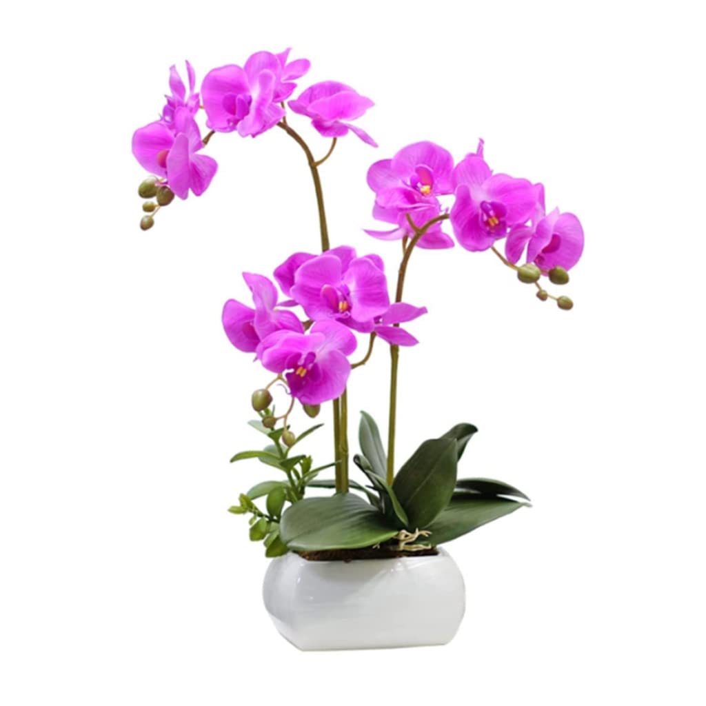 XDLEDMKIZ artificial flower Phalaenopsis Artificial Flower with White Ceramic Vase Fake Flower for Home Wedding Center Plastic Flower Decoration Home Centerpieces