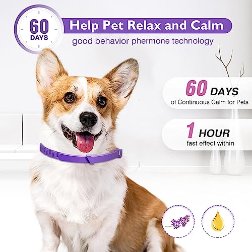 Image of Dog Calming Pheromone Collar Set of 3,Relieves Anxiety,Keeps Dog Quiet,Foldable Collar