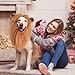 Hundekostüm Löwenmähne Hund, Hund Löwe Mähne Kostüm für mittelgroße bis große Hund & Katze Löwenmähne Perücke für Hundekostüm mit Ohren Weihnachten Cosplay Partys
