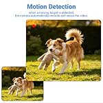 Mini Portable No Wifi Camera,1080P HD Security Surveillance indoor Camera - Image 6