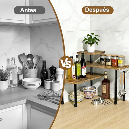 Recopilación de Soportes para botes de especias . 30 Imagen adicional