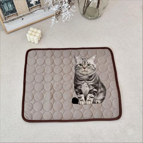 ybgNbV pxbh}bg _炩K 􂦂 h ܂肽݉\ ϋv̂gp uE 16"×12"