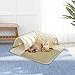 WeiLaiKeQi Cat Tunnel and Bed with Playing Ball Toy Detachable Exercise Kitty Training Playing Hut for Small Animal Indoor Cats Rabbit, L Floral