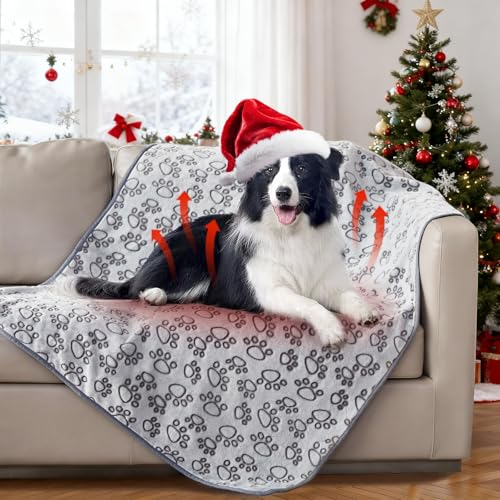 Stuffed Premium Soft Dog Blanket, with Flannel Grey Cute Paw Print, 43 * 66 inches, Cat Blanket Puppy Supplies Dog Products Stuff Essentials