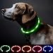 BSeen (TM) LED Dog Collar, USB rechargeable, Glow or Flash for ultimate safety, Cut to resize to fit 11"-27", Good for Small, Medium and Large Dogs, Available in multiple colors (Green)