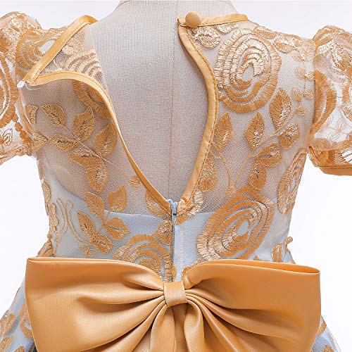 TTYAOVO Flower Girl Dress Princess Birthday Party Wedding Gown4