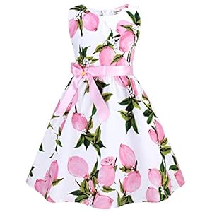 Kid Floral Cotton Girls Dresses Summer Girl Clothes