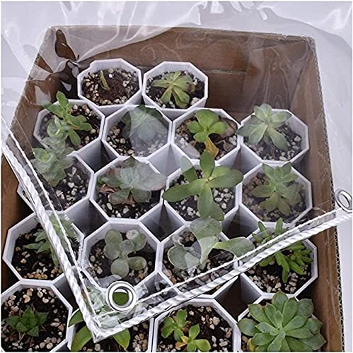 Auvent de jardin transparent imperméable 1,6 x 4 m avec œillets pour meuble extérieur et camping