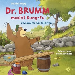 Dr. Brumm macht Kung-Fu Audiobook By Daniel Napp, Judith Ruyters cover art