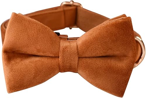 Miniatura 3 de Collar de terciopelo para perro personalizado con nombre, número de teléfono grabado, collares personalizados para mascotas con hebilla de metal