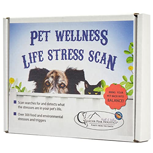 10 Best Dog Food Allergy Test Kits Review and Buying Guide to Help