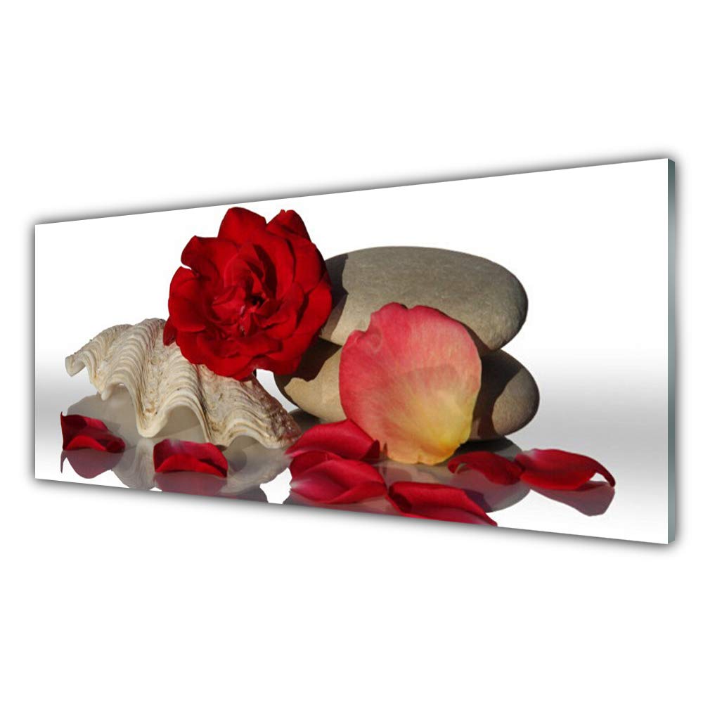 Impression sur Verre Trempé Déco Design Tulup Art Pierres Conch Rose