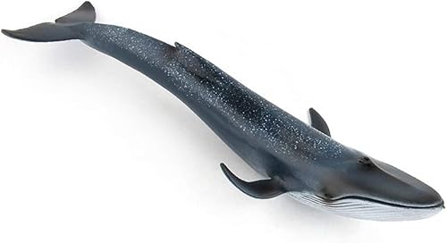 Miniatura 7 de EOIVSH Figura de animal marino, juguete de ballena azul, figura de plástico grande de animales oceánicos, figura realista de modelo marino educativo