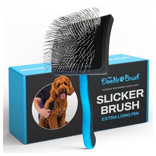 Doodle Brush für die Hundepflege