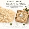 Sukh Basket Grass Aspen Shavings - 5 OZ Basket Filler Aspen Wood Shavings Chips Moss for Crafts Excelsior Shredded Wood Fiber Raffia Grass Easter Basket Straw Hay for Decoration for Crafts Filler #2
