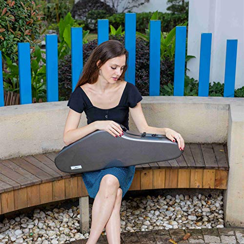 Aileen Violin Hard Case 4/4 Full Size Luxury with Hygrometer Suspension, Light Black