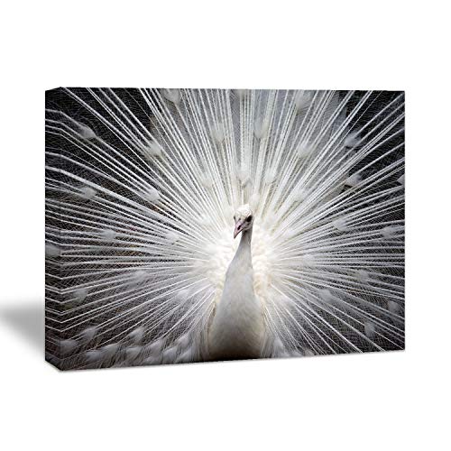 Looife Canvas Wall Art with Peacock Picture - 48x36 Inch Elegant White Peacock Tail Feather Painting Artwork Giclee Prints Wall Decor for Living Room, Bedroom and Bathroom