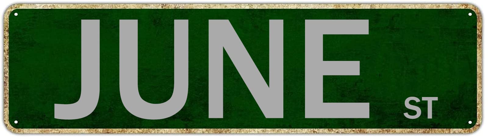 June St Retro Tin Signs Aluminum Metal Sign Gift for Home Kitchen Garden Wall Yard Coffee Art Plaque Decor 4x16 Inch