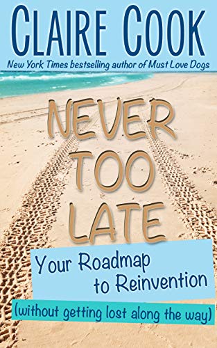 Cover of Never Too Late: Your Roadmap to Reinvention (without getting lost along the way) (It's Never Too Late to Shine On)