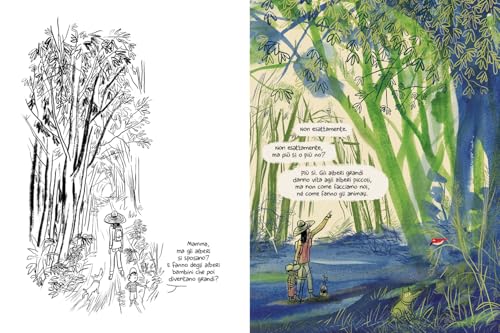 Come Nascono Gli Alberi. Ediz. Illustrata - 2