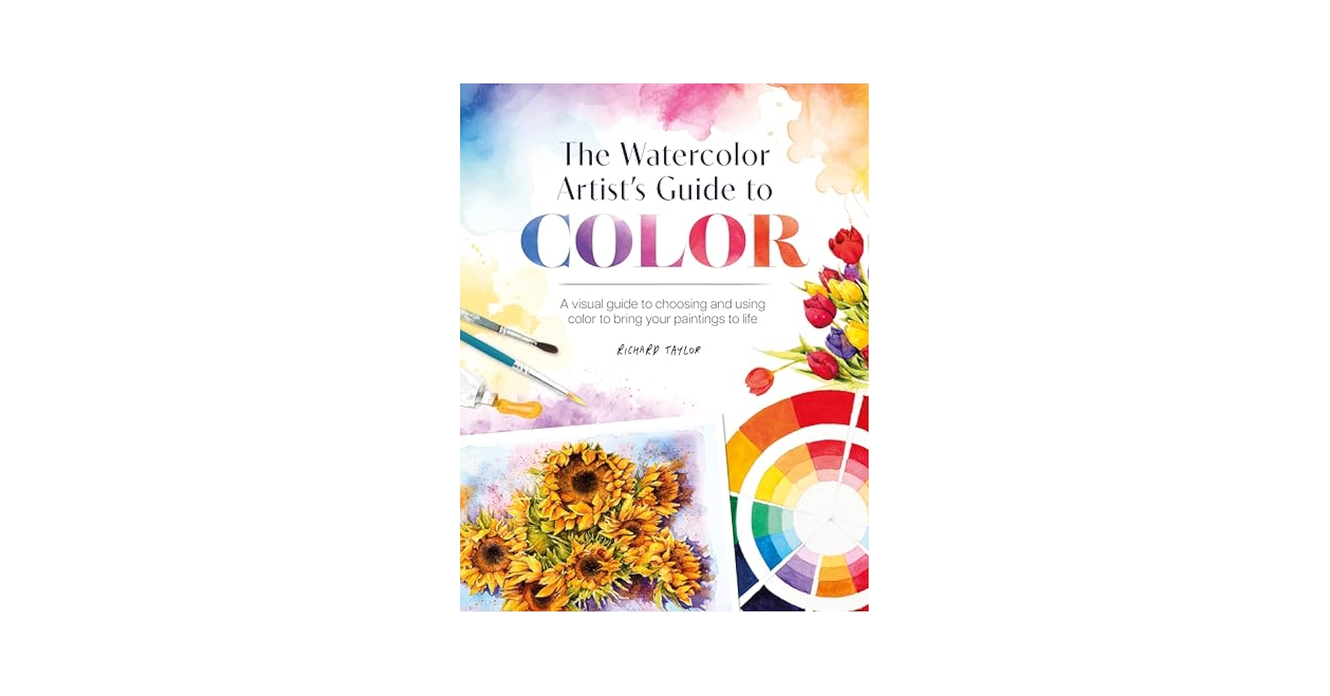 アート・デザイン・音楽 watercolourists guide to painting Watercolorist's Guide to Painting Buildings: Taylor, Richard