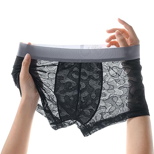 Men's Sexy Underwear See-through Mesh Breathable Boxer Briefs Men's Transparent Tagless Trucks