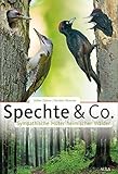 ornithologie wien  Spechte & Co.: Sympathische Hüter heimischer Wälder