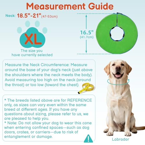 Image of Dog Cone, No-Inflation Sponge Donut Collar for Dogs After Surgery
