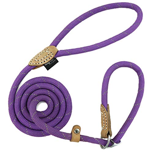 AllPetSolutions Roll-Leine Für Hunde – Bis 8 M, Lila