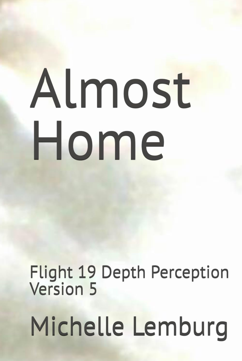 Almost Home: Flight 19 Depth Perception Version 5