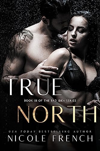True North (Bad Idea Book 3)