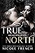 True North (Bad Idea Book 3)