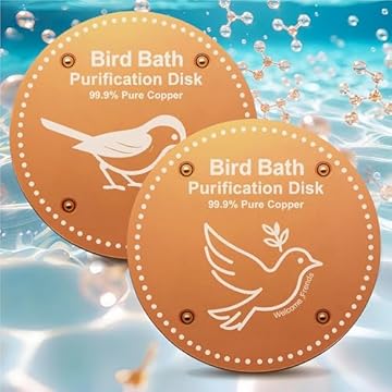 best solar heated bird bath