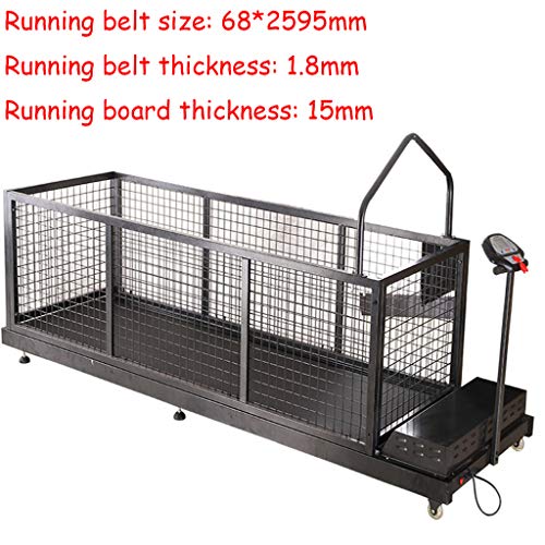 2. QNMM Tapis Roulant per Cani