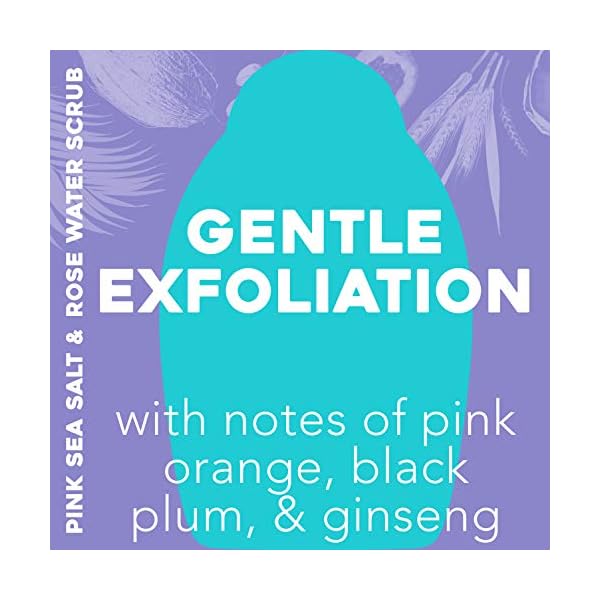OGX-Pink-sea-salt-rosewater-gentle-soothing-body-scrub-195-Ounce-10-Count OGX Sensitive + Pink Sea Salt & Rosewater Sulfate-Free Soothing Body Scrub with Healing Rose Quartz, Gentle Exfoliating Daily Body Wash to Soften & Smooth Skin, 19.5 Fl Oz