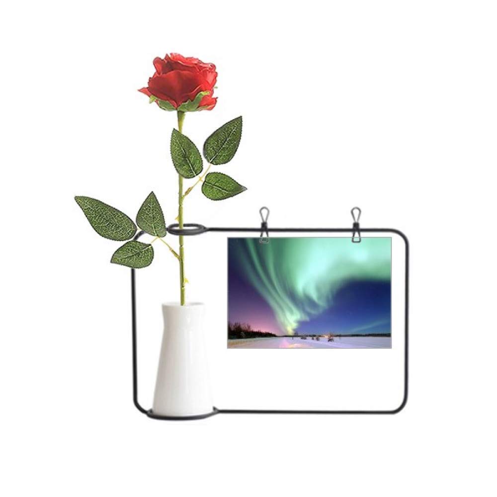 Rose artificielle Night Stars à suspendre pour décorer sans eau