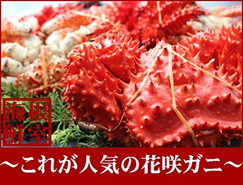 極上花咲ガニ 大1尾 1.0ｋｇ